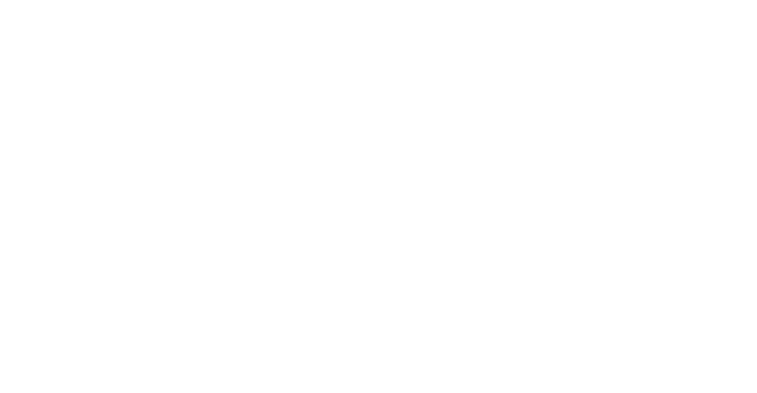 MPV Master Pro Vape